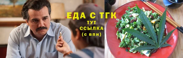 индика Бронницы