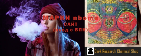 хмурый Верея