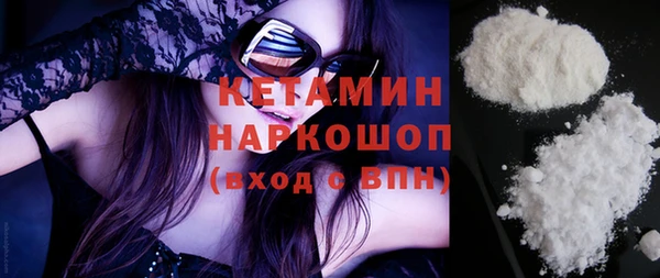 хмурый Верея